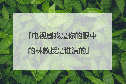 电视剧我是你的眼中的林教授是谁演的