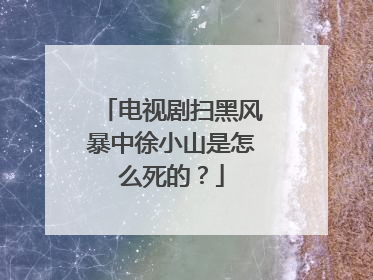 电视剧扫黑风暴中徐小山是怎么死的?