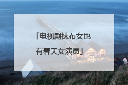电视剧抹布女也有春天女演员