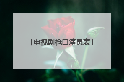 电视剧枪口演员表