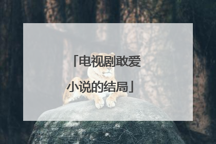 电视剧敢爱小说的结局