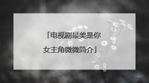 电视剧最美是你女主角微微简介