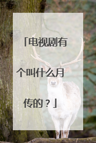 电视剧有个叫什么月传的？