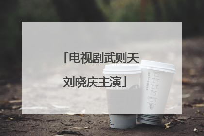 电视剧武则天刘晓庆主演