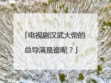 电视剧汉武大帝的总导演是谁呢？