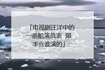 电视剧汪洋中的一条船演员表 郑丰喜谁演的