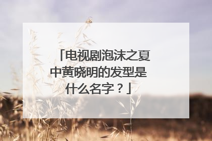 电视剧泡沫之夏中黄晓明的发型是什么名字？