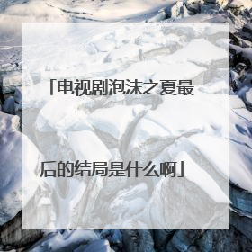 电视剧泡沫之夏最后的结局是什么啊