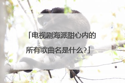 电视剧海派甜心内的所有歌曲名是什么?