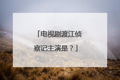 电视剧渡江侦察记主演是？