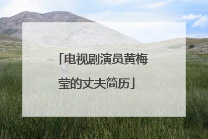 电视剧演员黄梅莹的丈夫简历