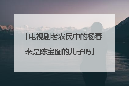 电视剧老农民中的杨春来是陈宝图的儿子吗
