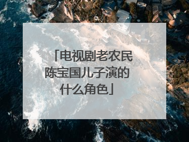 电视剧老农民陈宝国儿子演的什么角色