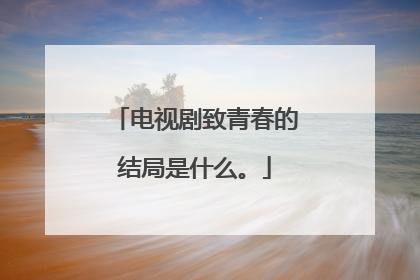 电视剧致青春的结局是什么。