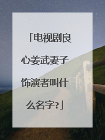 电视剧良心姜武妻子饰演者叫什么名字?