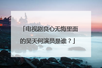 电视剧良心无悔里面的吴天何演员是谁？