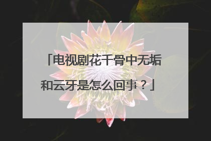 电视剧花千骨中无垢和云牙是怎么回事？