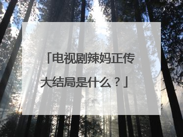 电视剧辣妈正传大结局是什么？