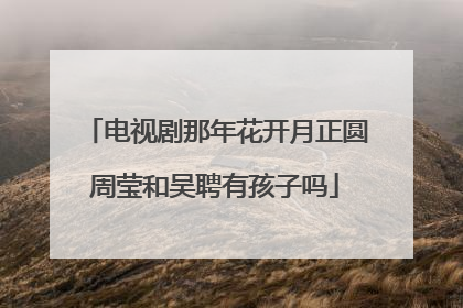 电视剧那年花开月正圆周莹和吴聘有孩子吗