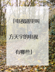 电视剧里叫方天宇的电视有哪些