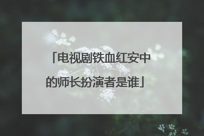 电视剧铁血红安中的师长扮演者是谁