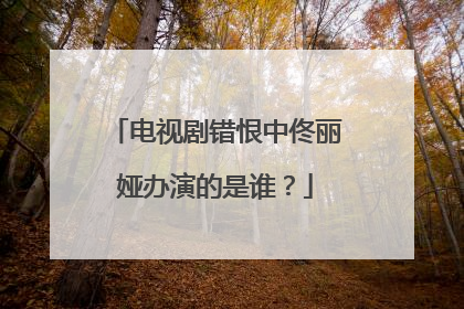 电视剧错恨中佟丽娅办演的是谁?