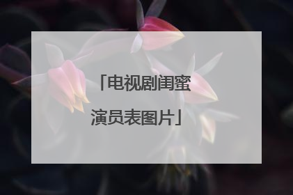 电视剧闺蜜演员表图片