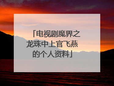 电视剧魔界之龙珠中上官飞燕的个人资料