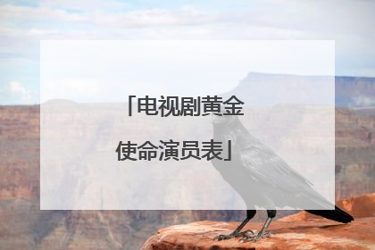 电视剧黄金使命演员表