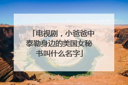 电视剧，小爸爸中泰勒身边的美国女秘书叫什么名字