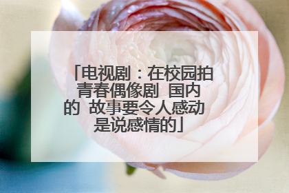 电视剧:在校园拍 青春偶像剧 国内的 故事要令人感动 是说感情的