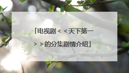 电视剧＜＜天下第一＞＞的分集剧情介绍