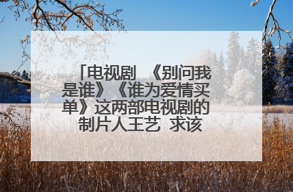 电视剧 《别问我是谁》《谁为爱情买单》这两部电视剧的 制片人王艺 求该王艺的个人资料