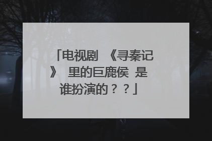 电视剧 《寻秦记》 里的巨鹿侯 是谁扮演的？？