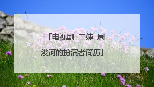 电视剧 二婶 周浚河的扮演者简历