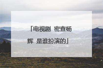 电视剧 密查杨辉 是谁扮演的