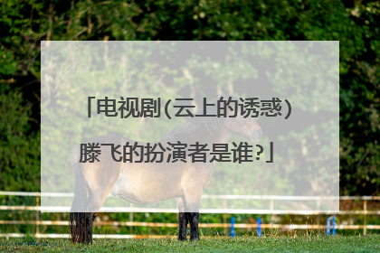 电视剧(云上的诱惑)滕飞的扮演者是谁?