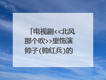 电视剧<<北风那个吹>>里饰演帅子(帅红兵)的演员叫什么?