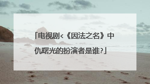 电视剧<《因法之名》中仇曙光的扮演者是谁?