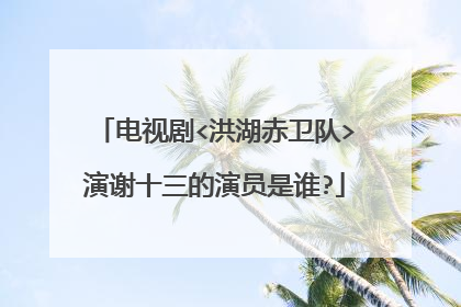 电视剧<洪湖赤卫队>演谢十三的演员是谁?