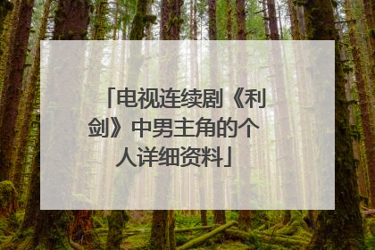 电视连续剧《利剑》中男主角的个人详细资料