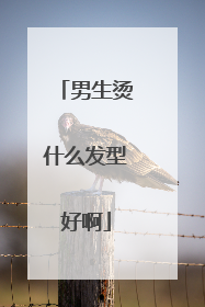 男生烫什么发型好啊