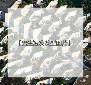 男生短发发型图片