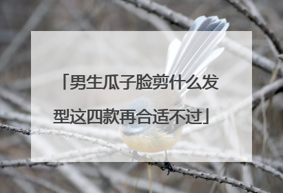 男生瓜子脸剪什么发型这四款再合适不过