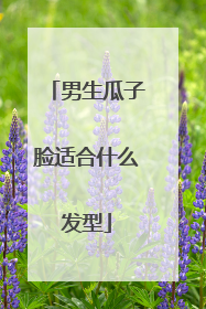 男生瓜子脸适合什么发型