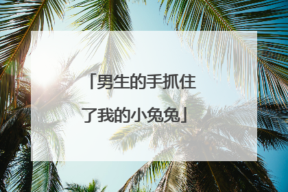 男生的手抓住了我的小兔兔