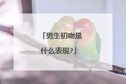 男生初吻是什么表现?