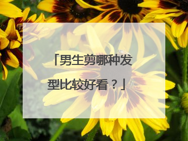 男生剪哪种发型比较好看？