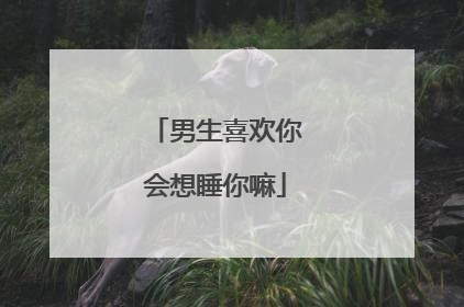 男生喜欢你会想睡你嘛