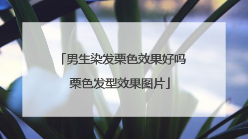 男生染发栗色效果好吗 栗色发型效果图片